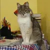 Отзыв от Тамара Карташова